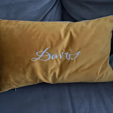 Haus Ginseng Davos