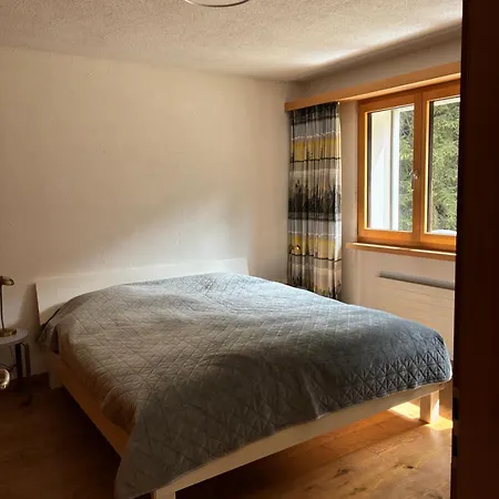 Appartement Haus Ginseng Davos